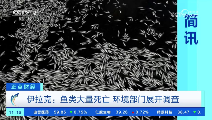 最高法阐释邯郸3名初中生杀害同学案,曾道正版资料免费大全网站,公开决策资料解释落实_精英版V9.84